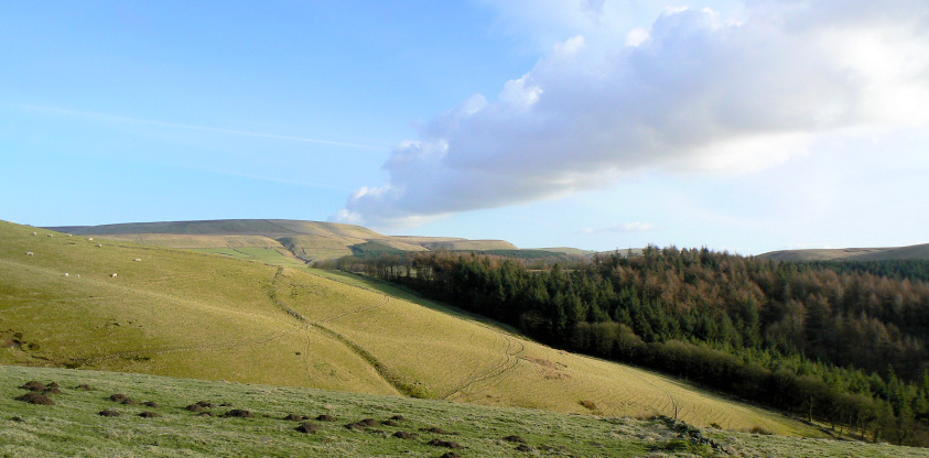 Whetstone Ridge Whetstone Ridge